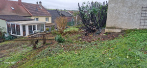 Photo de galerie - Elagage et coupe d'arbres