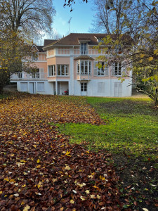 Photo de galerie - Nettoyage du jardin à peine perceptible sous les feuilles ;)