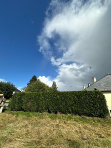 Photo de galerie - Taille d’une haie 