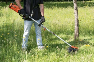 Photo de galerie - N'hésitez pas à me contacter, je peux aussi couper du bois