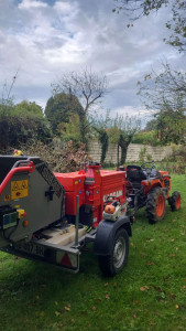 Photo de galerie - Elagage et coupe d'arbres