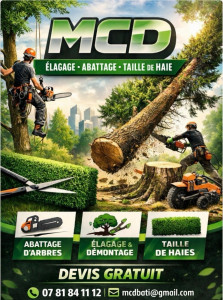 Photo de galerie - Elagage et coupe d'arbres