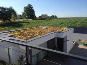 Photo de galerie - Etanchéité végétalisation