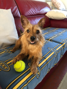 Photo de galerie - Séjours réguliers de la jolie Miss