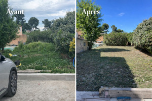 Photo de galerie - Débroussaillage 