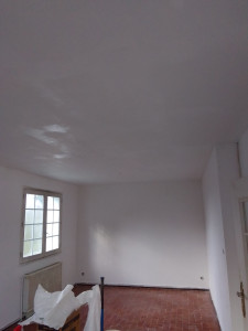 Photo de galerie - Rénovation de salle ancienne préparation et finitions peinture 