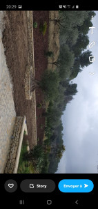 Photo de galerie - Imitation pierre sèche 