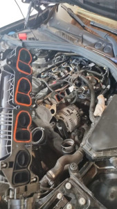 Photo de galerie - Admission 118d f21