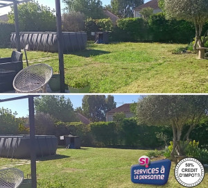 Photo de galerie - Redonnez vie à votre jardin sans effort ! Profitez de nos services d'entretien complets (tonte, désherbage, taille) et bénéficiez de 50% de crédit d'impôt