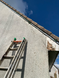 Photo de galerie - Après avoir enlever le lierre sur la façade 