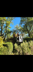 Photo de galerie - Abattage d’arbres avec nacelle