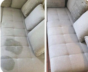 Photo de galerie - Shampouineuse