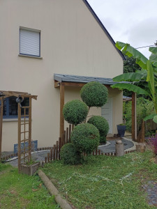 Photo de galerie - Taille