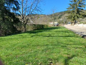 Photo de galerie - Tonte