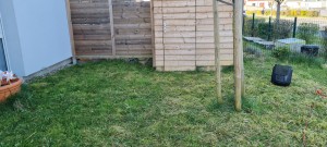 Photo de galerie - Tonte de pelouse - Débroussaillage