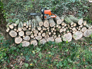 Photo de galerie - Abattage et débitage de bois