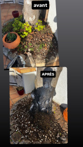 Photo de galerie - Jardinier