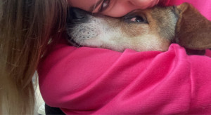 Photo de galerie - Ma passion ?