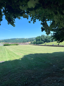 Photo de galerie - Tonde de pelouse 