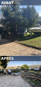 Photo de galerie - Abattage, débitage et évacuation d’un gros sapin trentenaire. Tronc diamètre de 50cm.