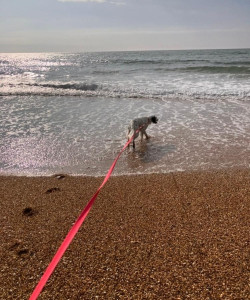 Photo de galerie - Balade au bord de la mer