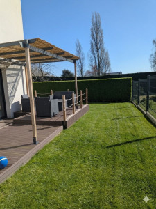 Photo de galerie - Tonte de pelouse et taille de la haie