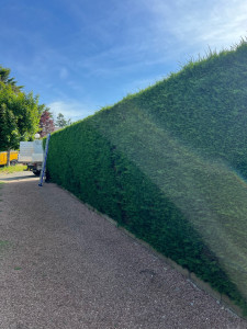 Photo de galerie - Taille haie 