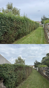 Photo de galerie - Tonte de pelouse - Débroussaillage