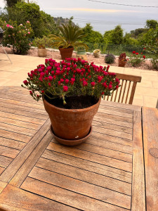 Photo de galerie - Paysagiste - Aménagement du jardin