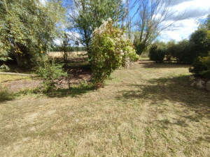 Photo de galerie - Remise en valeur étang 