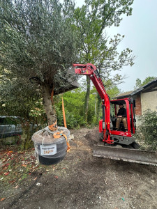 Photo de galerie - Plantation olivier 