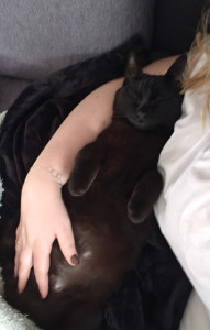 Photo de galerie - Je propose de rendre visite à vos animaux en votre absence