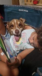 Photo de galerie - Garde chien