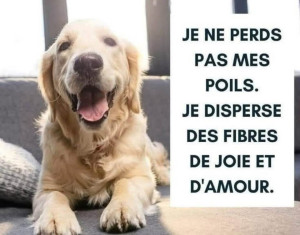 Photo de galerie - C’est tellement vrai !