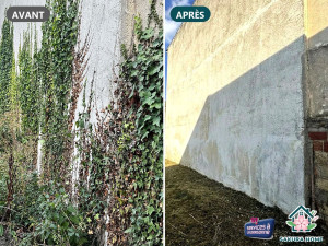 Photo de galerie - Tonte de pelouse - Débroussaillage