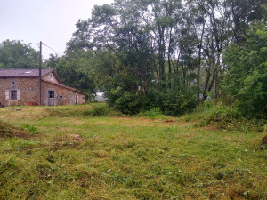 Photo de galerie - Entretien jardin débroussailler