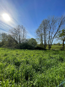 Photo de galerie - Débroussaillage 