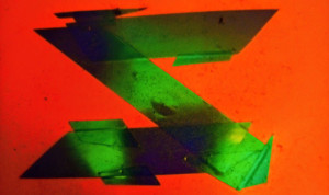 Photo de galerie - SPONSORISE 