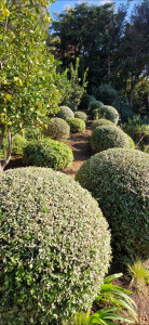 Photo de galerie - Homme 
sérieux vous propose multiples services de
 jardinage et nettoyage 

