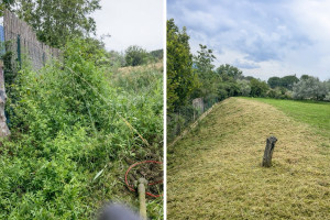 Photo de galerie - Tonte de pelouse - Débroussaillage