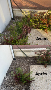 Photo de galerie -  débroussaillage 