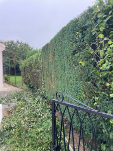 Photo de galerie - Après 