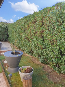 Photo de galerie - Après