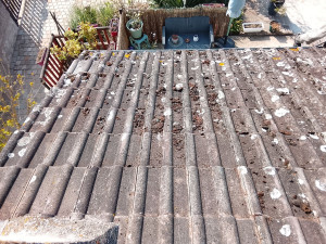 Photo de galerie - Démoussage de toiture 