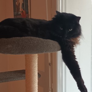 Photo de galerie - Mon compagnon de tous les jours