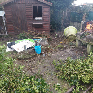 Photo de galerie - Débarrasser et entretenir chardin 