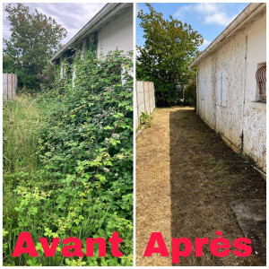 Photo de galerie - Gros débroussaillage pour mise en vente immobilière 