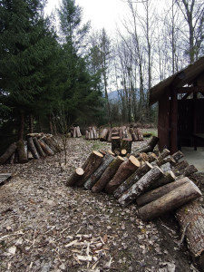 Photo de galerie - Aider a porter du bois 