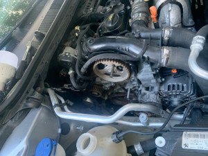 Photo de galerie - Distribution 