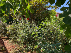 Photo de galerie - Paysagiste - Aménagement du jardin